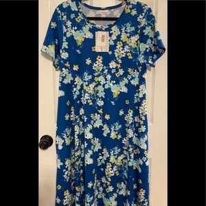 LuLaRoe Jessie Size Large
